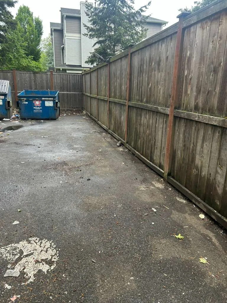 Outdoor junk removal area after cleanup